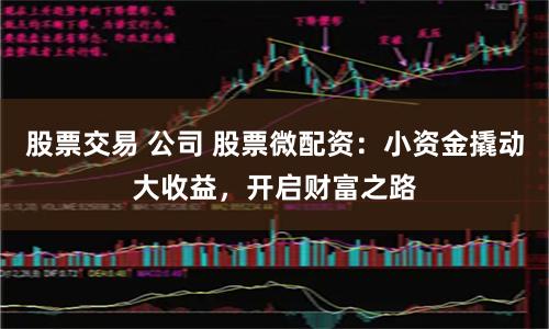 股票交易 公司 股票微配资：小资金撬动大收益，开启财富之路