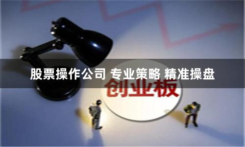 股票操作公司 专业策略 精准操盘